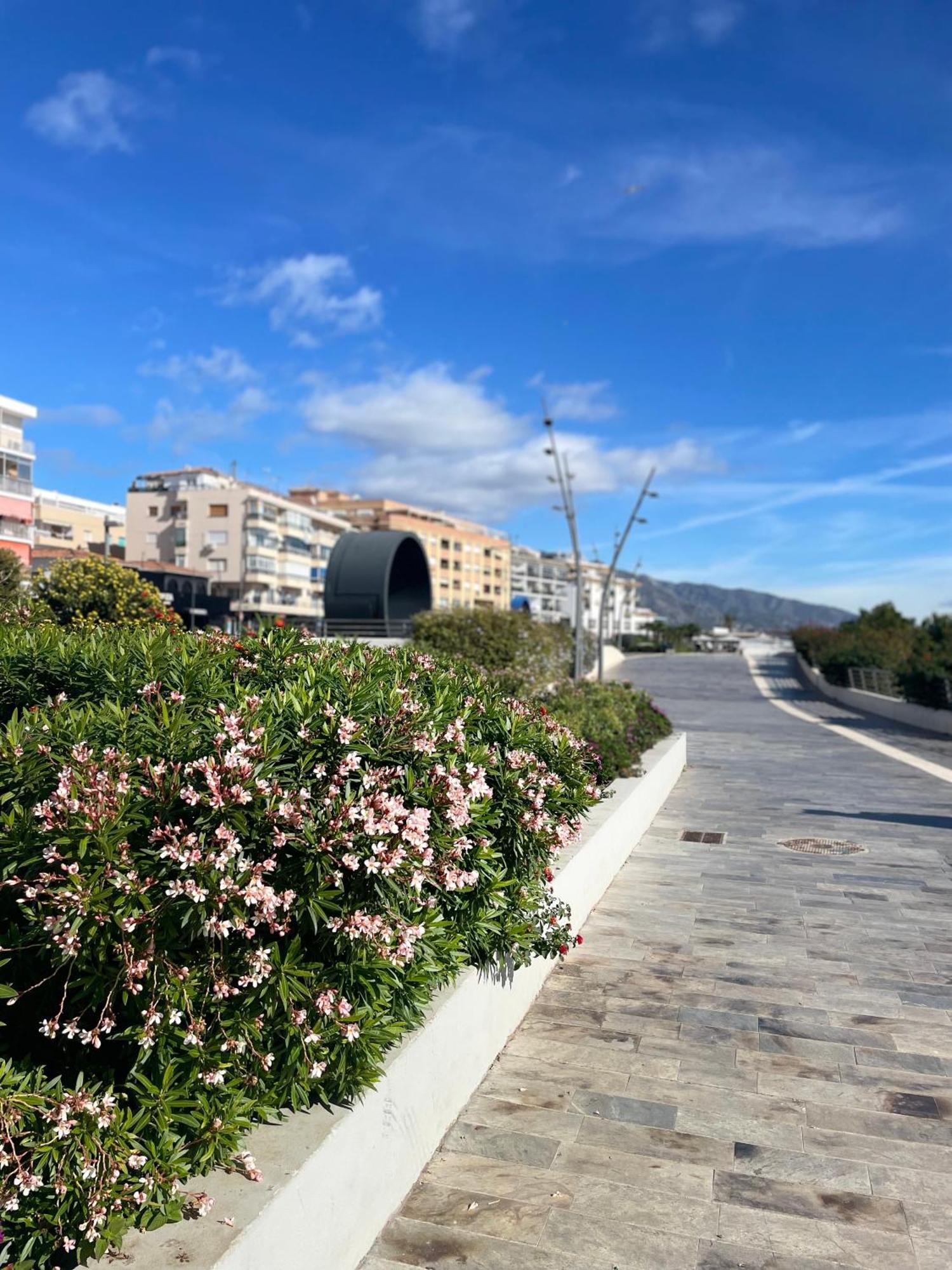 Casa Rosa Nova Lejlighed Marbella Eksteriør billede